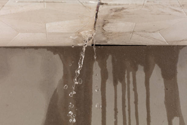 Professional Structural Drying technician working in Farley, KY